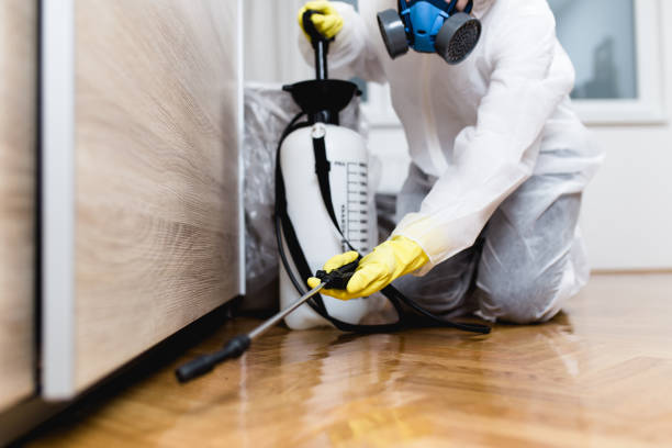 Professional Pest Control in Lemont, PA