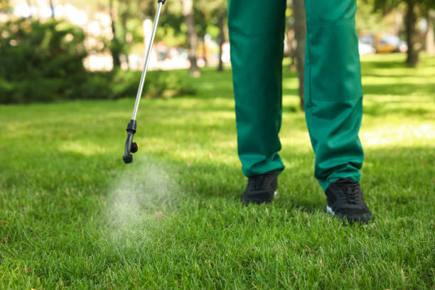 Best Emergency Pest Control  in Lemont, PA