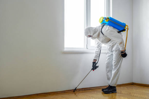 Best Pest Control Treatment  in Lemont, PA