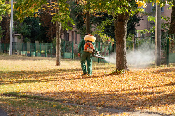 Best Commercial Pest Control Services  in Lemont, PA