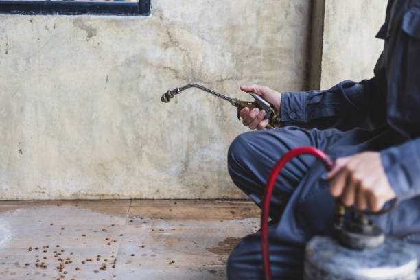 Best Exterminator Services  in Lemont, PA